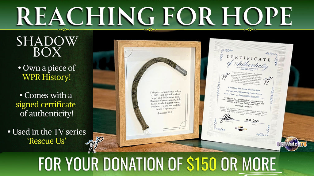 The "Reaching For Hope" Shadow Box! A Piece of History for your Gift of $150 or More! (select gift amount in dropbox below)