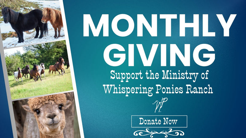 WPR Give Monthly - Recurring Charge