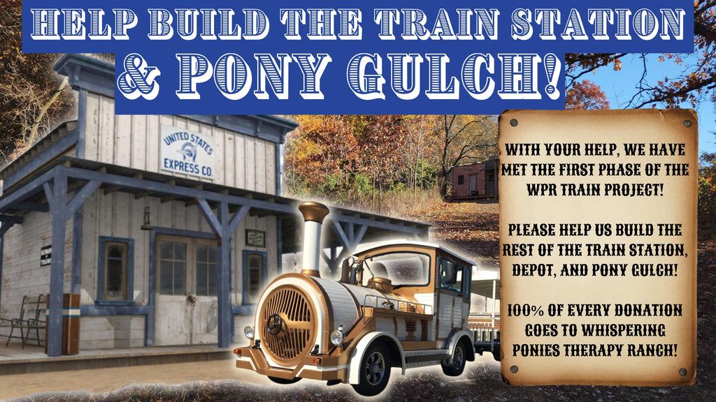 HELP US BUILD THE TRAIN STATION AND PONY GULCH