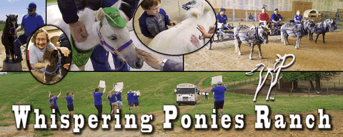 Sponsor a Pony